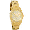 JBW Jet Setter GMT Gold-Tone Stainless Steel Diamond Men's Quartz Watch J6370A