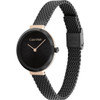 Calvin Klein Iconic Women'sGrey Dial Quartz Watch 25200084