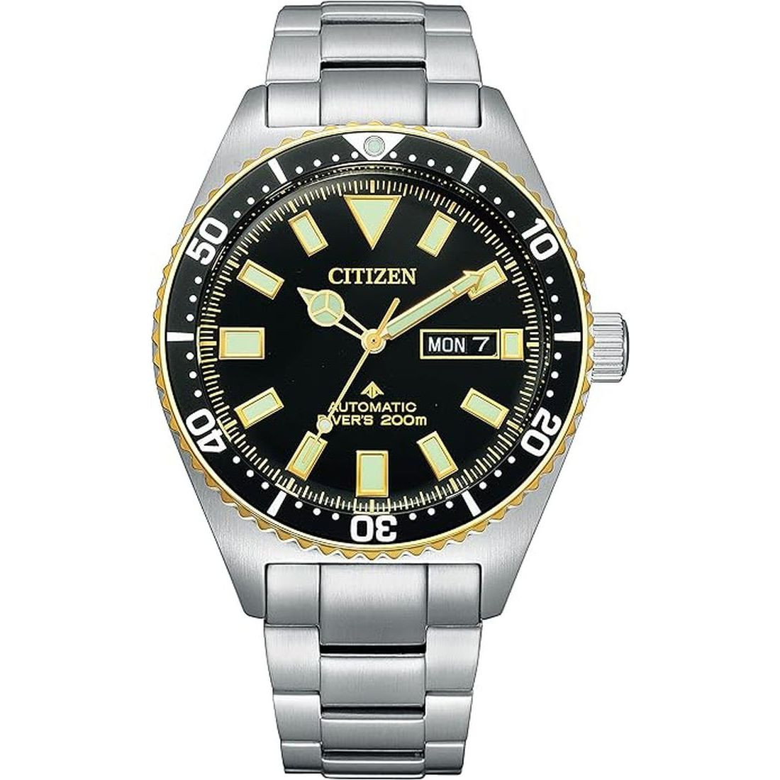Citizen Promaster Diver's 200 Automatic Hack Men's Watch NY0125