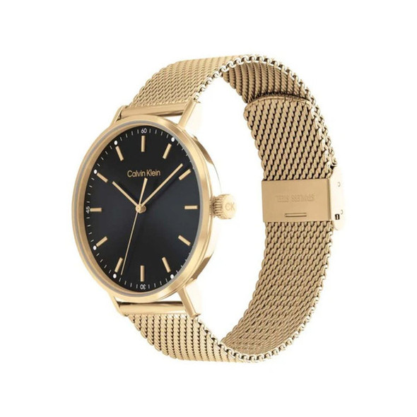 Calvin Klein Modern Men's Black Dial Gold-Tone Quartz Watch 25200049