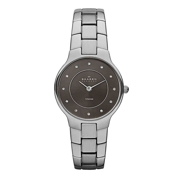 Skagen Titanium Collection Women's Quartz Silver Titanium Watch SKW2008
