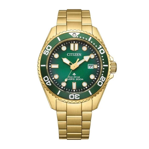Citizen Promaster Men's Green Dial Eco-Drive Watch BN0262-59W