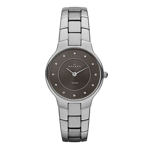 Skagen Titanium Collection Women's Quartz Silver Titanium Watch SKW2008