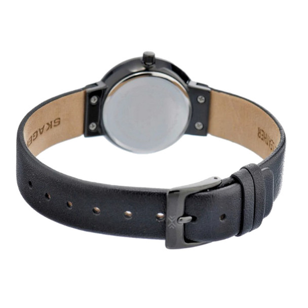 Skagen classic Women's Black Dial Quartz Watch 456SBLB