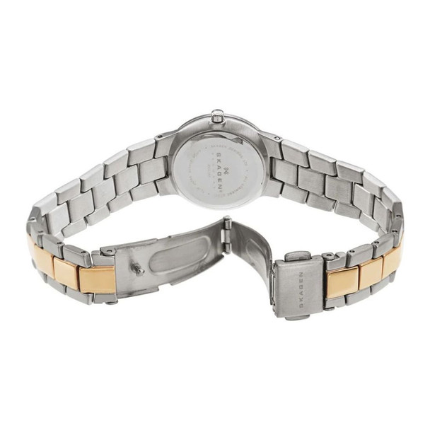 Skagen Steel Collection Women's Two-Tone Quartz Watch 430SSRX