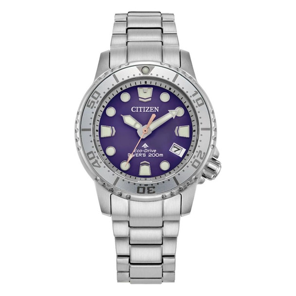 Citizen Women's Pro Master Purple Sunray Dial Quartz Watch EO2027-50X