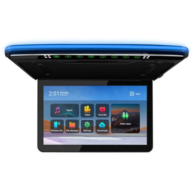 Roof Mount Monitors