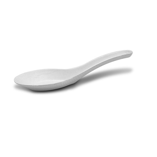 SUGARCANE CHINESE SOUP SPOON 1000PC/CTN SCSS mySupply Store