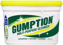 GUMPTION PASTE CLEANER 500GM