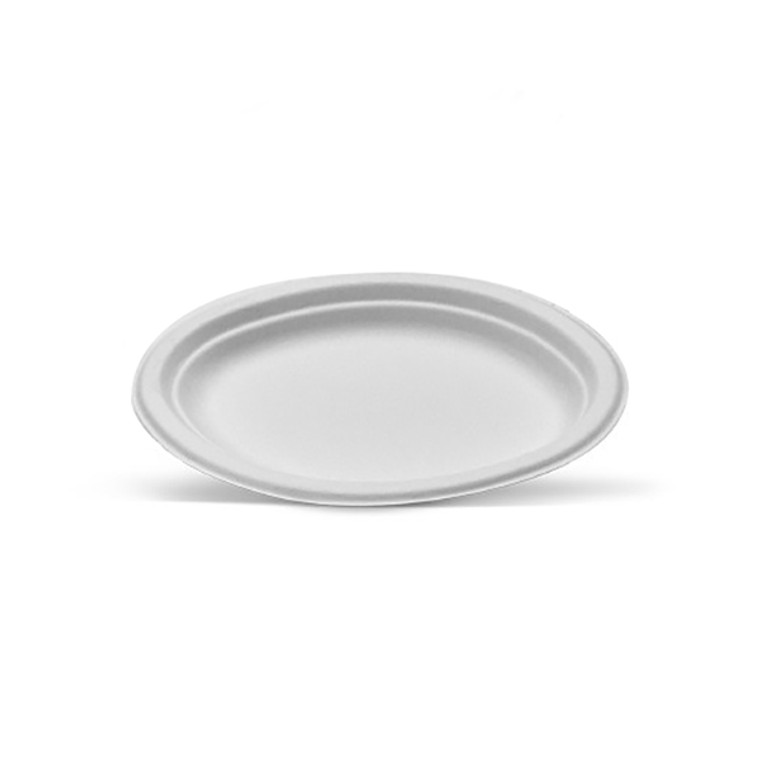 SUGARCANE SMALL OVAL DINNER PLATE 254MM - CTN OF 500 - TY02