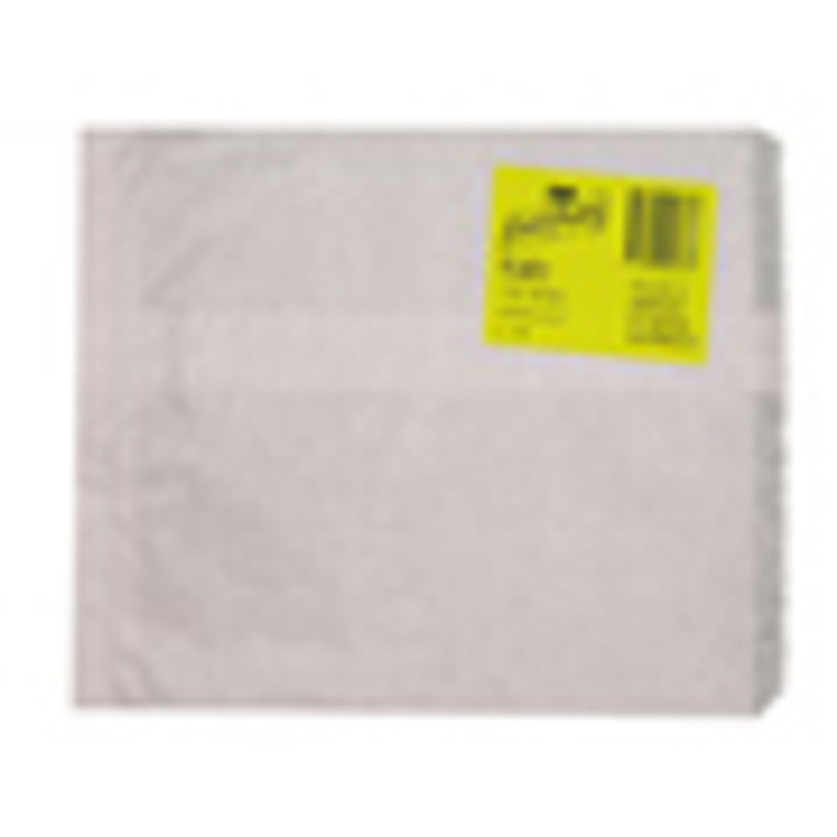 BAG PAPER NO. 2 SQ FLAT 165MM X 235MM WHITE CTN 500