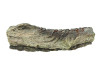Napoleon Woodland Log Set NEFI18H Top Right Log (W135-0621-SER)