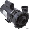 Waterway Executive 1-Speed 56-Frame Spa Pump w/ 2" Connection (3711621-1D) s