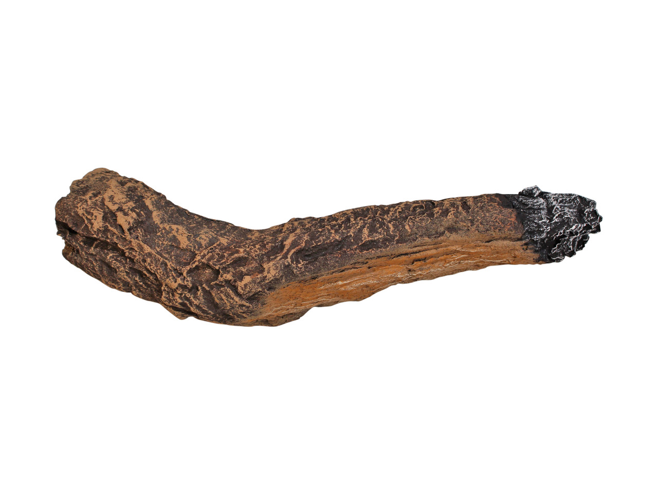 LOG 10