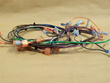Enviro EF5 Main Wiring Harness (20-021)