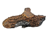 Heat N Glo Replacement Log C (SRV2128-703)