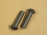 Enviro Hinge Pins - Set of 2 (EF-195)