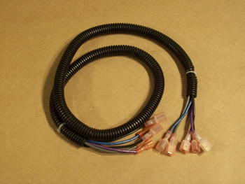 Enviro EG95 & EG40 FPI Surround Wiring Harness  (50-517)