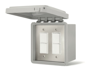 Infratech Dual Duplex Switch with Surface Mount and Gang Box (14-4325)