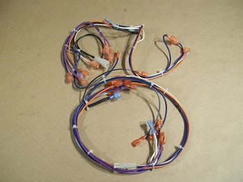 Enviro EG28 & EG40 Complete Wiring Harness (EC-037)