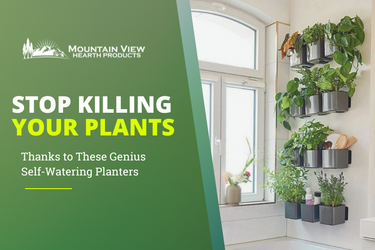  Stop Killing Your Plants (Thanks to These Genius Self-Watering Planters)