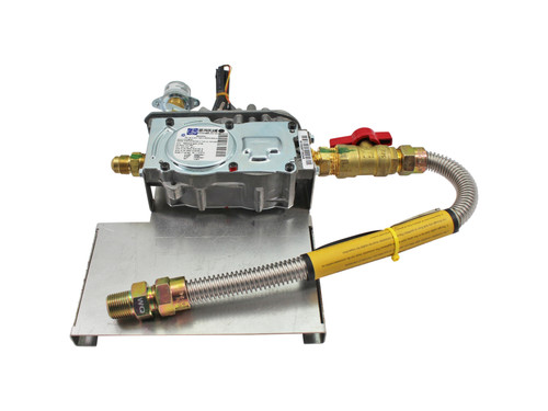 Napoleon GDIX3 Oakville Valve Assembly (W010-4491)
