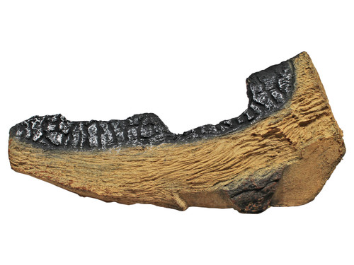 Majestic Log Assembly (LOGS-QUARTZ36)