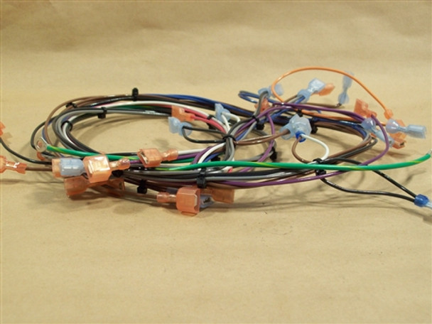 Enviro EF5 Main Wiring Harness (20-021)