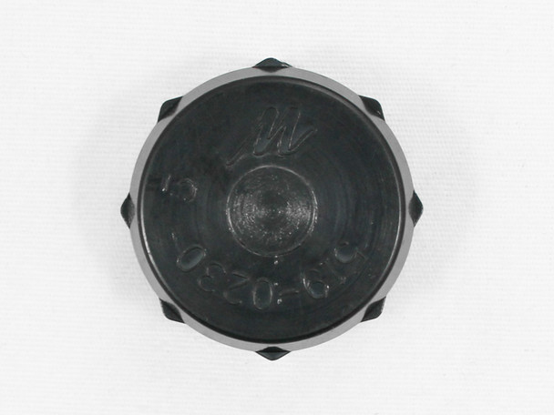 Waterway Standard Drain Cap (WWP519-0231) 