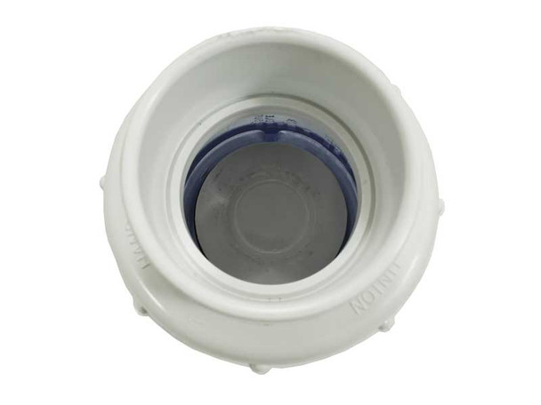 Coleman Spa 2" PVC 1/2 LB Spring Check Valve with Unions (102988)