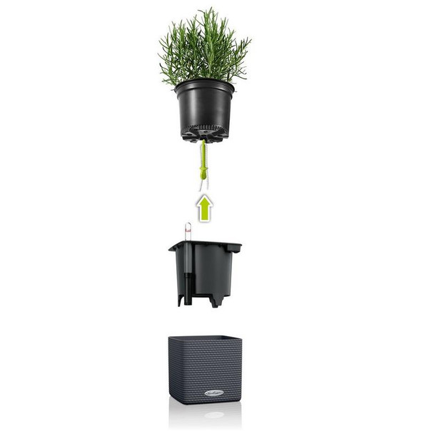 Lechuza Green Wall Home Kit - CUBE 14 - Glossy Charcoal (13524)