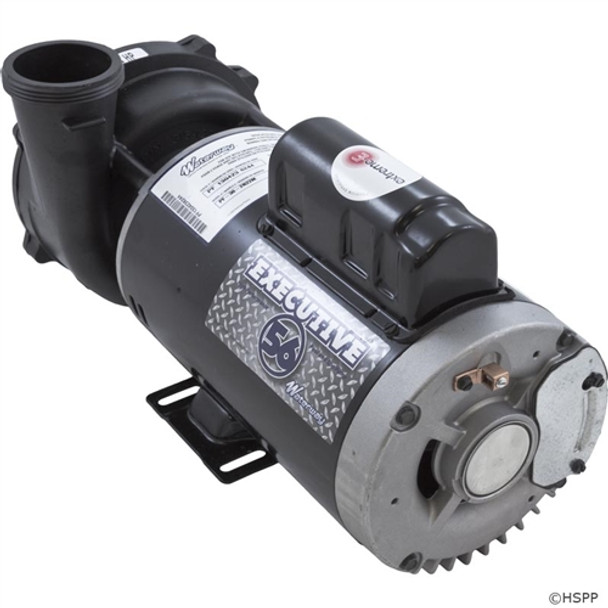 Waterway Executive 56-Frame Spa Pump with 2 1/2" x 2"Connections (3721621-13)