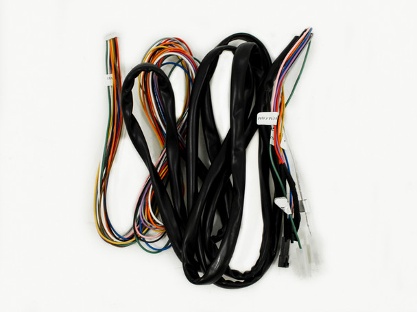 OEM SIT Proflame Wire Harness - 10' (0584904)