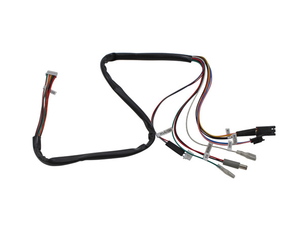 OEM Proflame GTMFS Wire Harness (0584905)