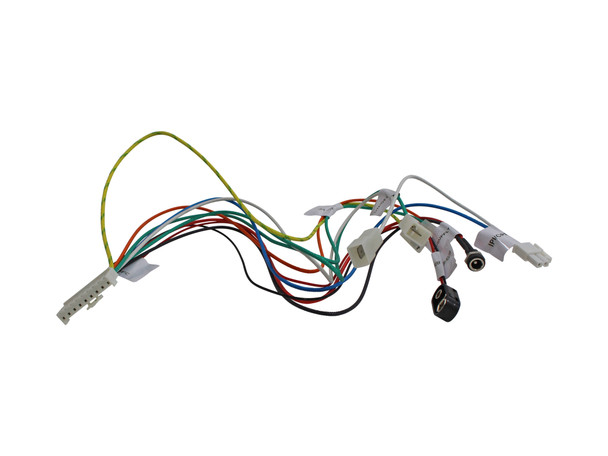 OEM SIT Proflame I DFC Wiring Harness (0584911)