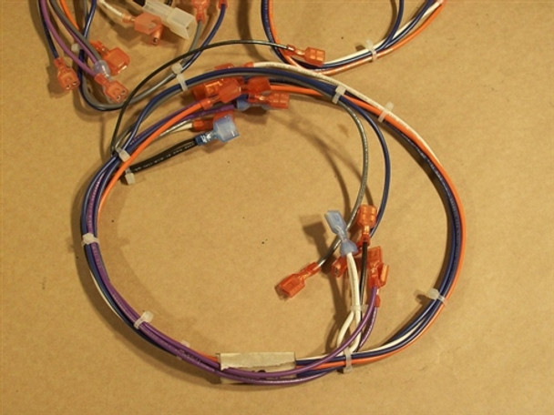 Enviro EG28 & EG40 Complete Wiring Harness (EC-037)