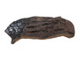 Outdoor Lifestyles Carolina Series TWILIGHT Log #4 (SRV2005-703)