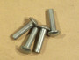 Enviro Westport Door Hinge Pins - Set of 4 (EGWP-510)