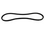 Newmac Fan Belt - 41" (2240041)
