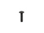 Napoleon Door Screw (W570-0082)