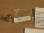 Enviro EG40 Conversion Kit - LP (50-1433)
