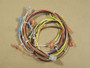 Enviro & Vista Flame Circuit Board Wiring Harness (50-1666)