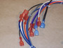 Enviro EG28 & EG40 Wiring Harness (EC-037B)