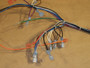 Enviro & Vista Flame Wiring Harness (EF-071)