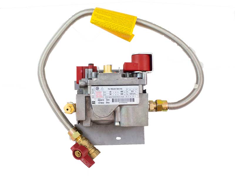 IHP Electronic Valve Assembly - NG (J4810)