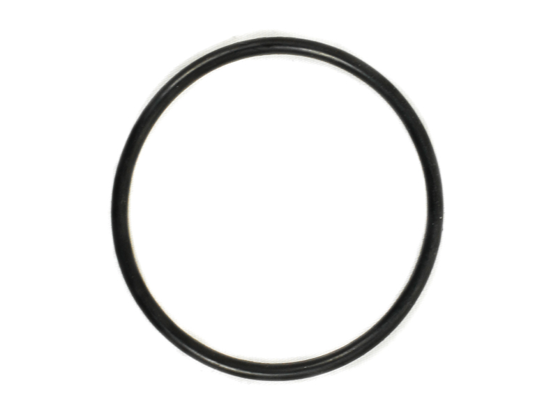 CAL SPA 2 Inch Heater Union Tailpiece O-Ring (CALHEA14700020)
