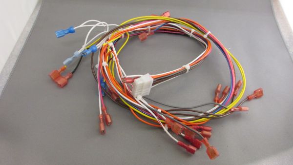 St. Croix Ashby Wiring Harness (80P30562-R)