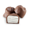 Hazelnut CLASSIC