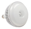 High Lumen LED Flood Light Bulb