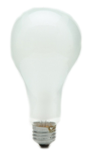 ECT Photoflood Light Bulb